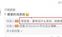 转会期最新爆料we,WE战队引援动向揭秘